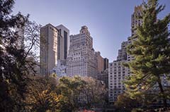 The Ritz-Carlton New York Central Park 